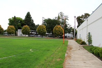 Beaverton Baseball