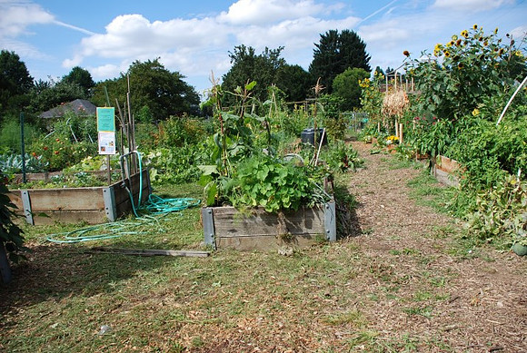 Summers Park Community Garden
