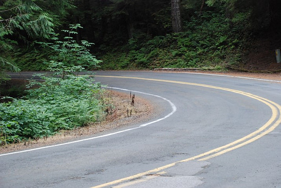 Brower Road-0995