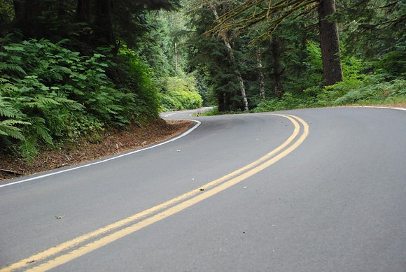 Brower Road-0980