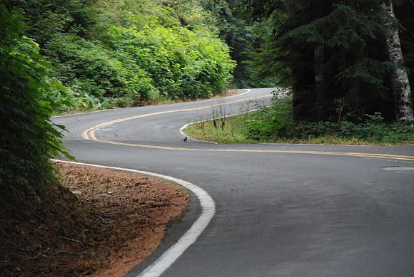Brower Road-0981