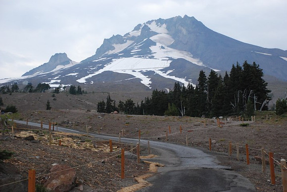 OL lot Timberline-0775