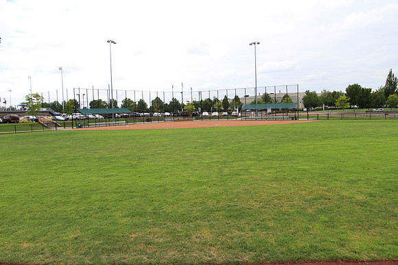 Hillsboro Baseball