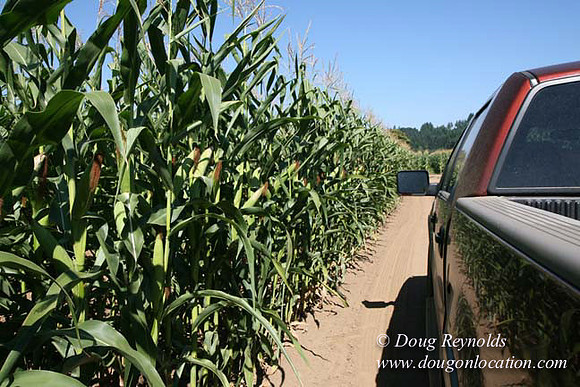 Farm 4 has Barns Shops they grow Wheat and Corn.  in the Portland Zone