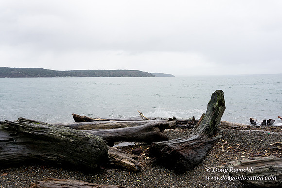 Owen Beach At Pt D