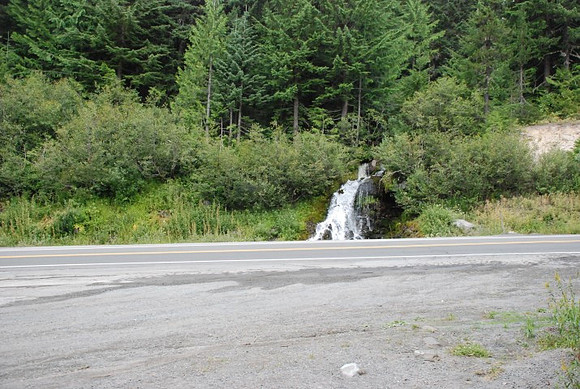 Timberline Road -0854