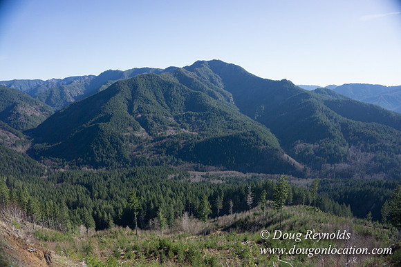 ODF DM View Trail