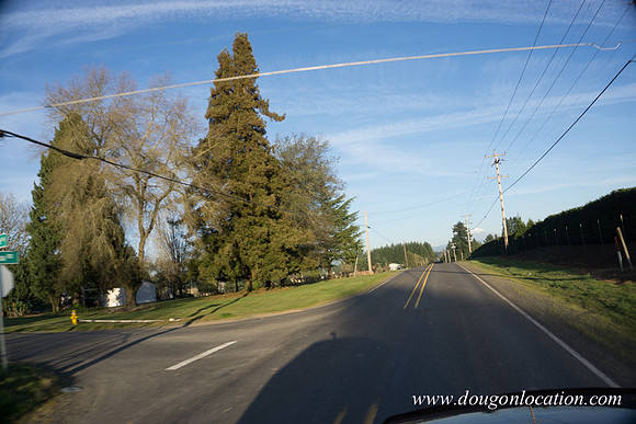 Kelso Rd W Driving E-4025