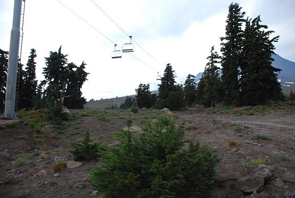 Off road at Timberline-0657