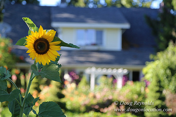 Patricks Farm-8456