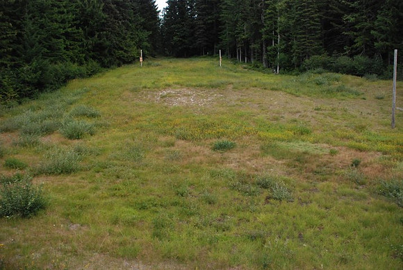 Summit Ski Area-0878