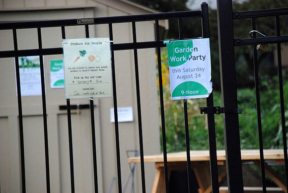 Mt Tabor Park community garden