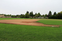 Beaverton Baseball