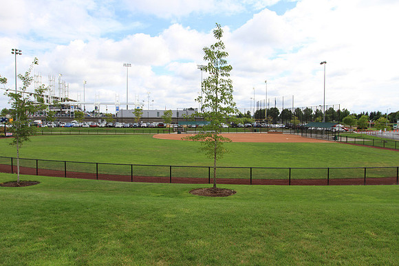 Hillsboro Baseball