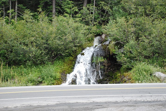 Timberline Road -0852