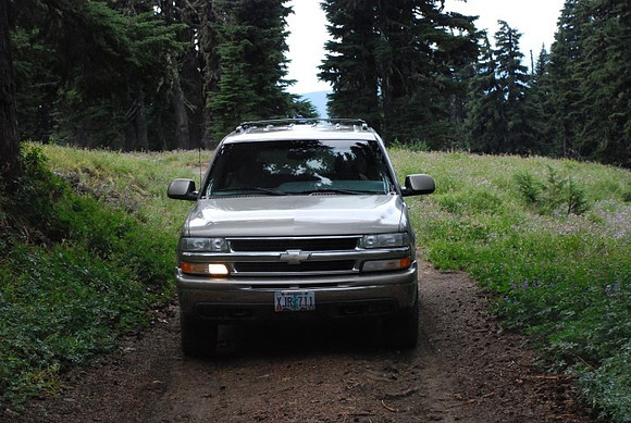 cabins off West Leg Rd-0692