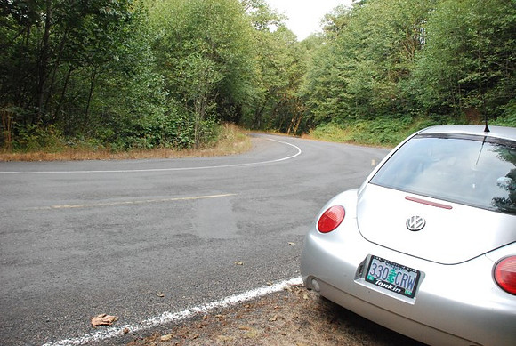 Haines Road-0898