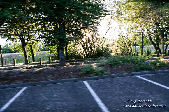Vancouver Lake Park