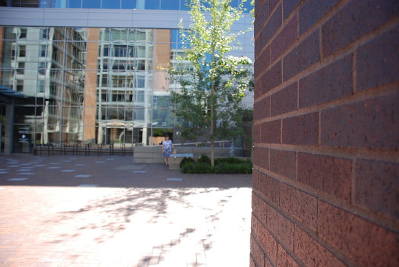 Portland State UPB-0415