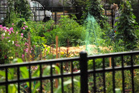 Mt Tabor Park community garden