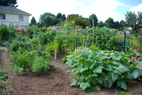 Summers Park Community Garden