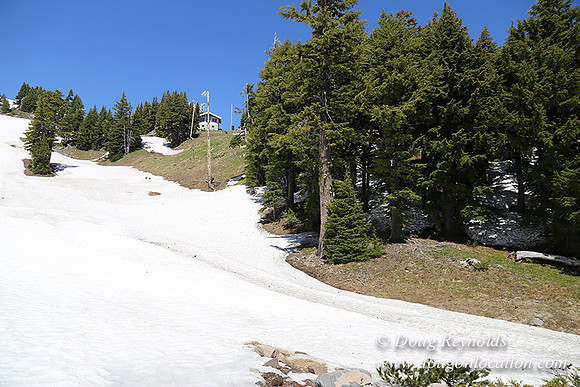 Medow's Snow-5690