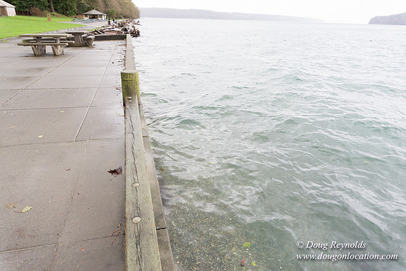 Owen Beach At Pt D