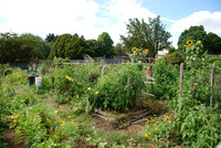 Summers Park Community Garden
