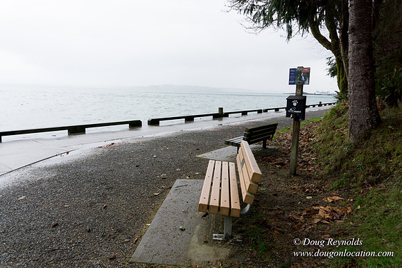 Owen Beach At Pt D