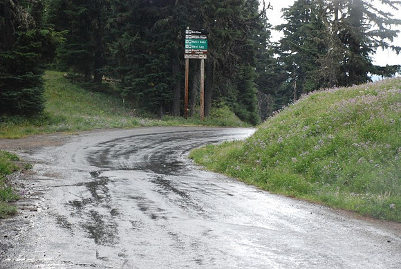 West Leg Road Timberline-0662