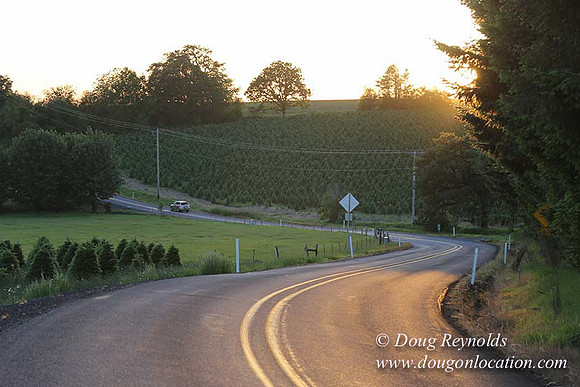 Hwy 214 M18-7660