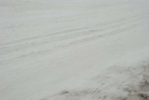 Snow at Timberline-0558