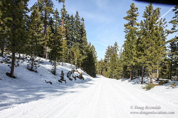 3 creeks Road in Snow