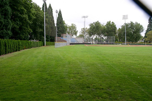 Sckavone Field-0101 copy