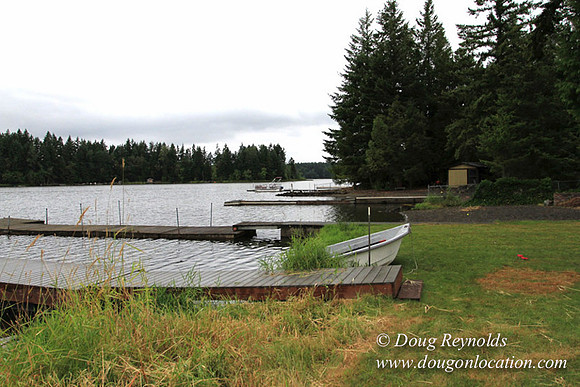 Cabin, Curtis, Dock, Green, Home, Lake, Small, WA, Washington, Yard, Yard, deck