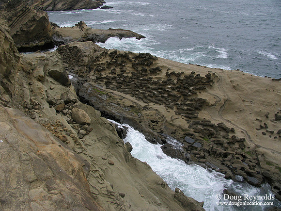 CASP Oregon Coast