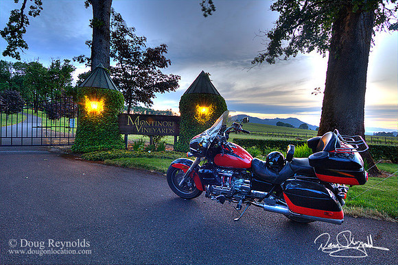 Doug & Valkyrie at Montinore Vineyards