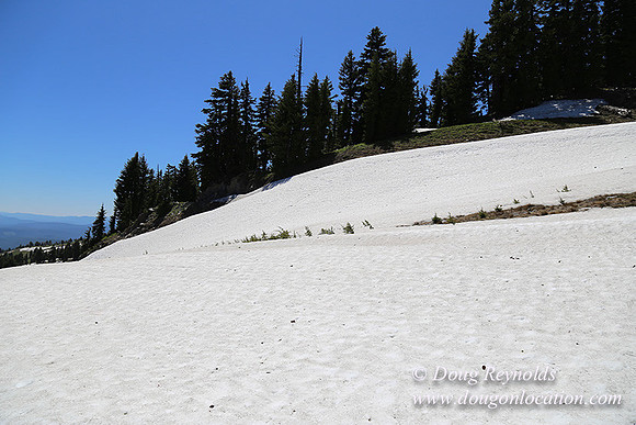 Medow's Snow-5727