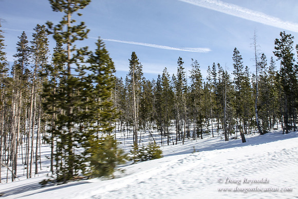 3 creeks Road in Snow