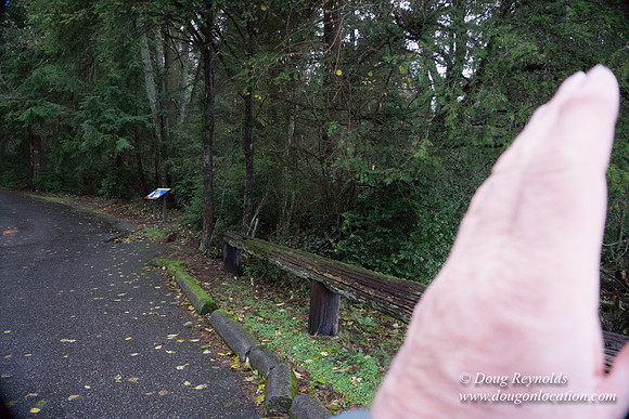 Vashon View