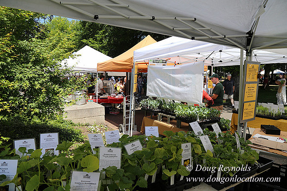 Portland PSU Farmers Mkt-5844