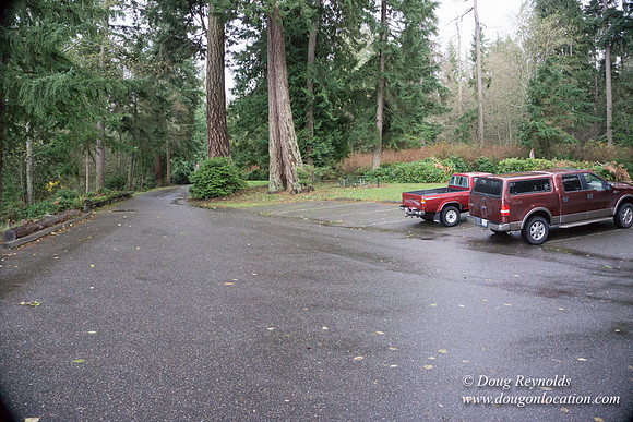 Vashon View