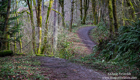 Skyline Blvd Trailhead FR-15