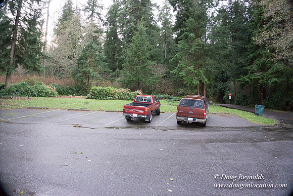 Vashon View