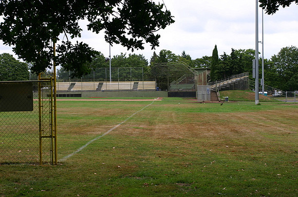 WalkerField009