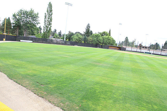 Forest Grove Baseball