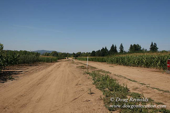 Farm 4 has Barns Shops they grow Wheat and Corn.  in the Portland Zone