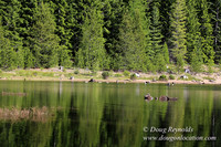 Clear Lake-3542