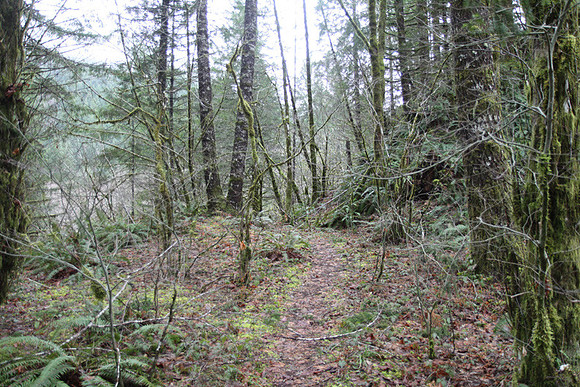 Elk Creek