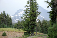 cabins off West Leg Rd-0686